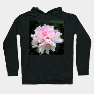 Pink flower, Rhododendron Hoodie